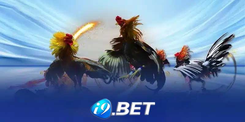 Lịch sử và phát triển của trò chơi đá đà I9bet